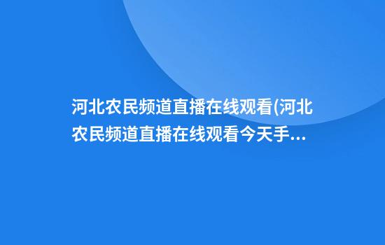 河北农民频道直播在线观看(河北农民频道直播在线观看今天手机电视)