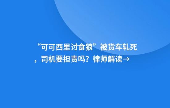 “可可西里讨食狼”被货车轧死，司机要担责吗？律师解读→