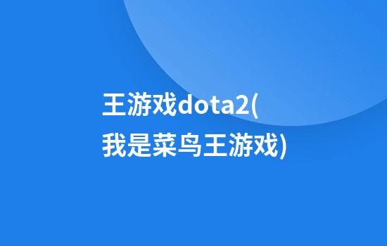 王游戏dota2(我是菜鸟王游戏)