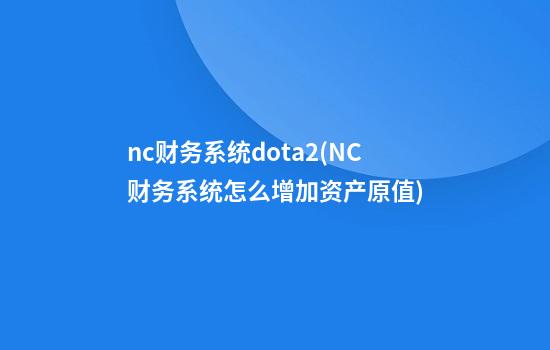 nc财务系统dota2(NC财务系统怎么增加资产原值)