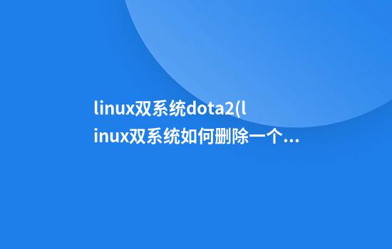 linux双系统dota2(linux双系统如何删除一个系统)