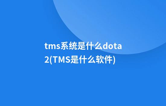 tms系统是什么dota2(TMS是什么软件)