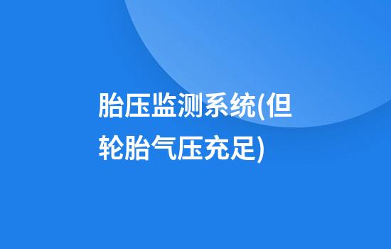 胎压监测系统(但轮胎气压充足)