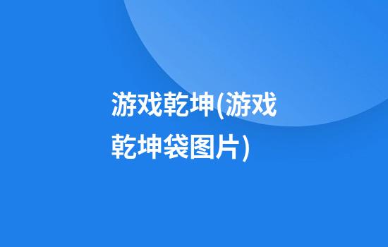 游戏乾坤(游戏乾坤袋图片)