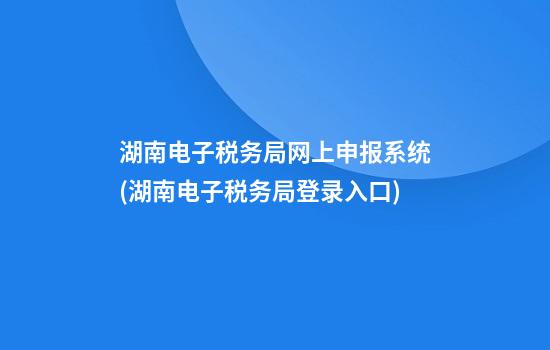 湖南电子税务局网上申报系统(湖南电子税务局登录入口)