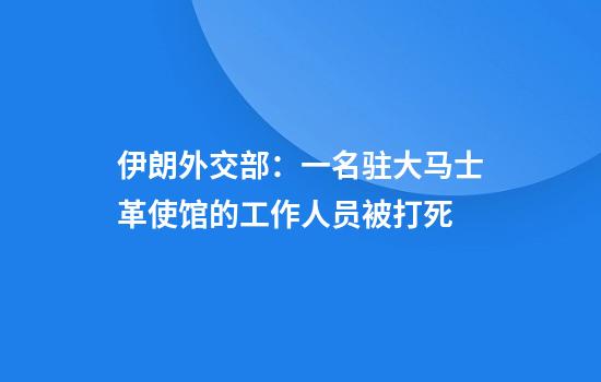 伊朗外交部：一名驻大马士革使馆的工作人员被打死